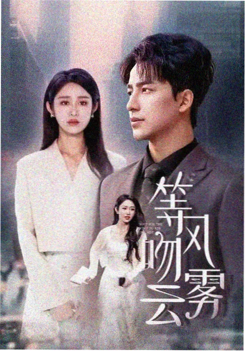 剧集《数据迷雾》海报