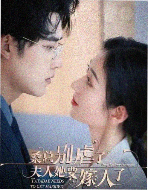 剧集《回声档案》海报